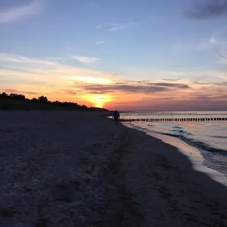 Sturmmoewe Mueggenburg Zingst