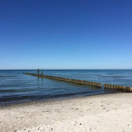 Sturmmoewe Mueggenburg