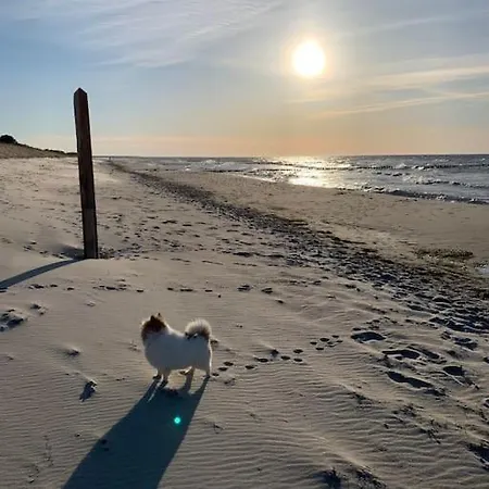 Sturmmoewe Mueggenburg Appartement *