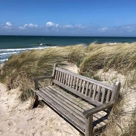 Sturmmoewe Mueggenburg Appartement Zingst