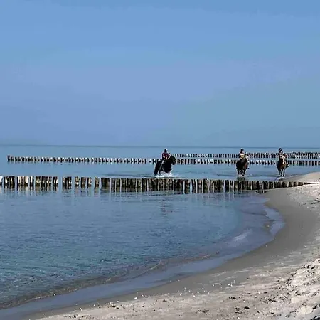 Appartement Sturmmoewe Mueggenburg Zingst