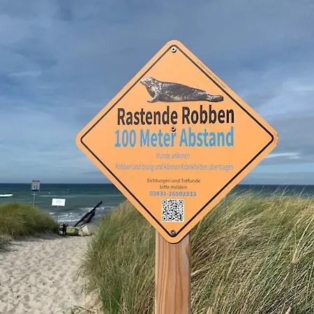 Sturmmoewe Mueggenburg Appartement *