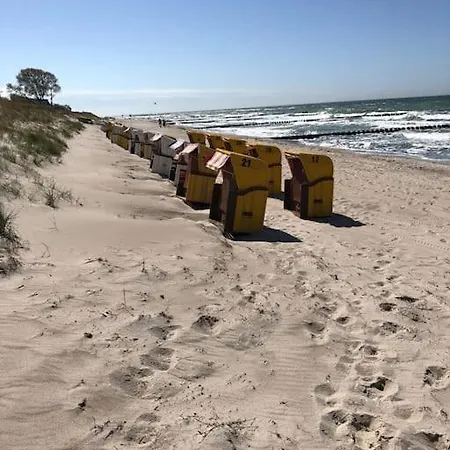 Sturmmoewe Mueggenburg Apartment Zingst