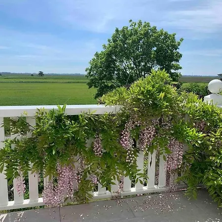 Sturmmoewe Mueggenburg *