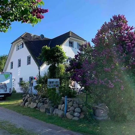 Appartement Sturmmoewe Mueggenburg Zingst