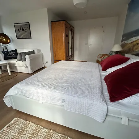 Sturmmoewe Mueggenburg Appartement Zingst