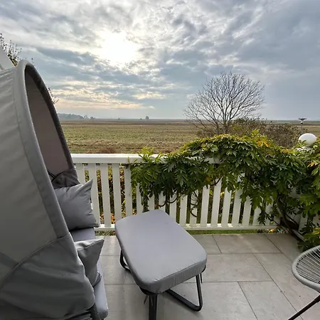 Sturmmoewe Mueggenburg * Zingst