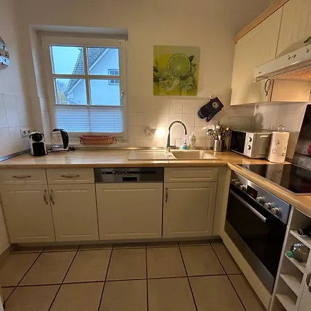 Sturmmoewe Mueggenburg Zingst